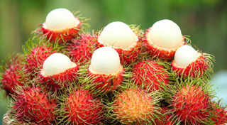 สวนผลไม้ระยอง