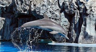 ที่เที่ยวปิดเทอม