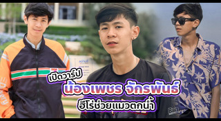 ช่วยแมว