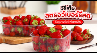 สตรอว์เบอร์รี