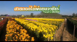 เส้นทางดอกไม้