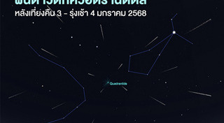 ฝนดาวตก