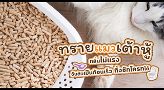 สัตว์เลี้ยง