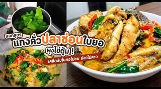 ปลาช่อน