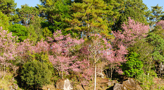 ที่เที่ยวหน้าหนาว