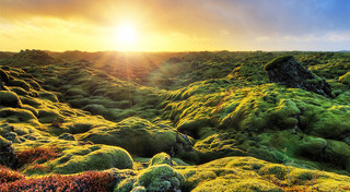 เที่ยวไอซ์แลนด์