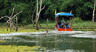 หนองบัวลำภู