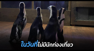 พิพิธภัณฑ์สัตว์น้ำ