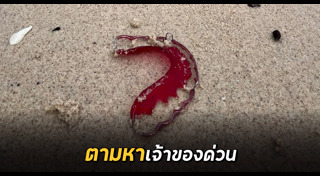 วัตถุต้องสงสัย