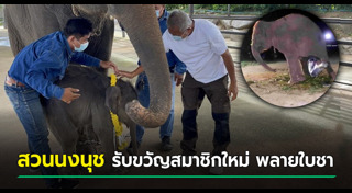 สวนนงนุช พัทยา