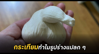 กระเทียม