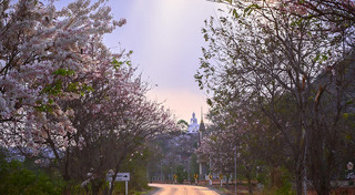 ที่เที่ยวลพบุรี