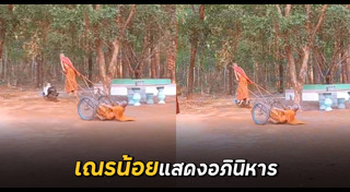 เณรน้อย