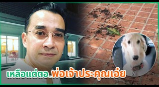 นีโน่ เมทนี