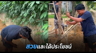 รั้วบ้าน