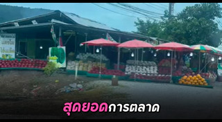 มะพร้าว