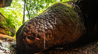 ถ้ำนาคา