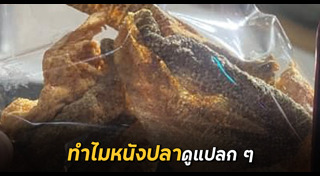 หนังปลาทอดกรอบ