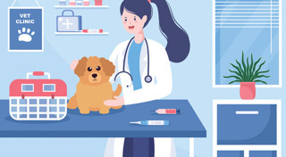 วิธีดูแลสุนัข