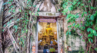 เที่ยวอัมพวา