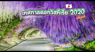 ประเทศที่ไม่ต้องขอวีซ่า