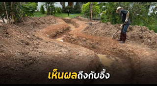 แปลงปลูกผัก