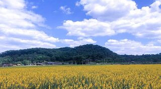 ที่เที่ยวเขาใหญ่