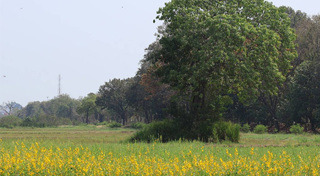 ที่เที่ยวนครปฐม