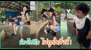 น้องไซอัลบลู