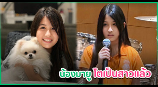 ลูกดารา