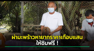 สวนนงนุช พัทยา