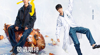 ซีรีส์จีน