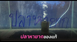 ปลาหายาก