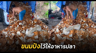 อาหารปลา