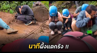 เดินป่า