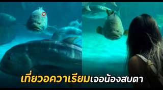 ปลาเก๋า