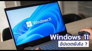 windows 11