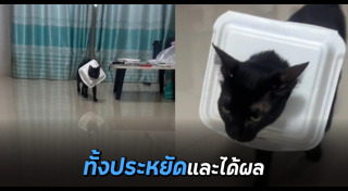 กล่องโฟม