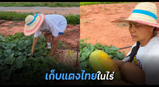 ไร่สวนดารา