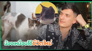 ชิน ชินวุฒ