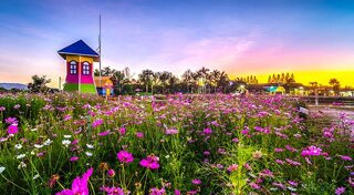 เส้นทางดอกไม้