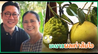 ปัญญา นิรันดร์กุล