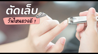 ตัดเล็บ