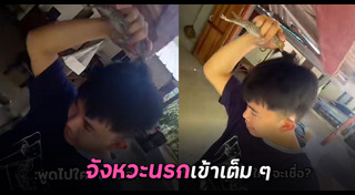 ตุ๊กแก