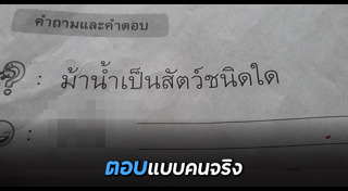 การบ้านเด็ก