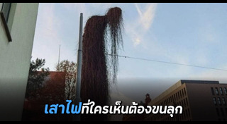 เสาไฟฟ้า