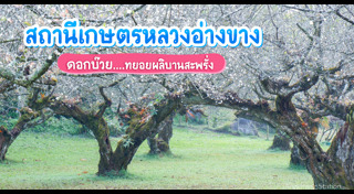 ดอยอ่างขาง