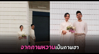 แมวจรจัด