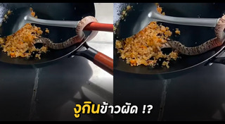 ข้าวผัด