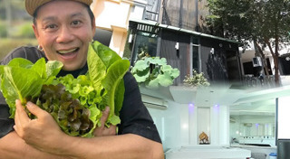 เสนาหอย